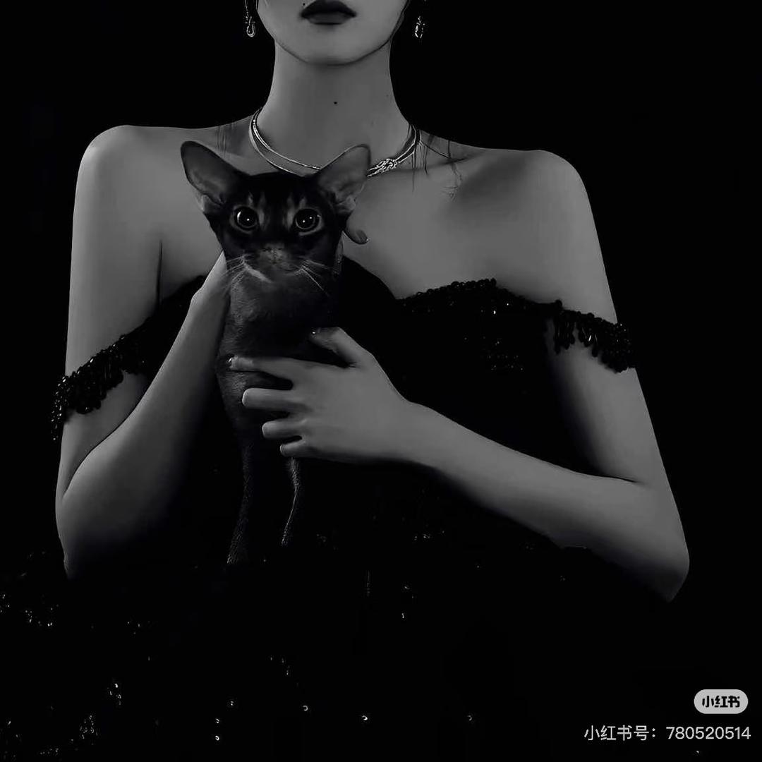 把话说尽•👑