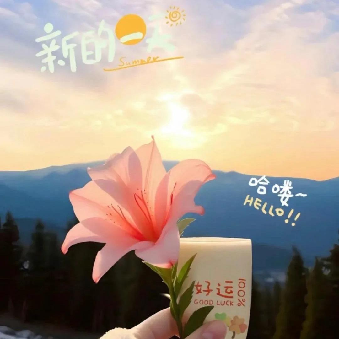 妍姿芊颜玲
