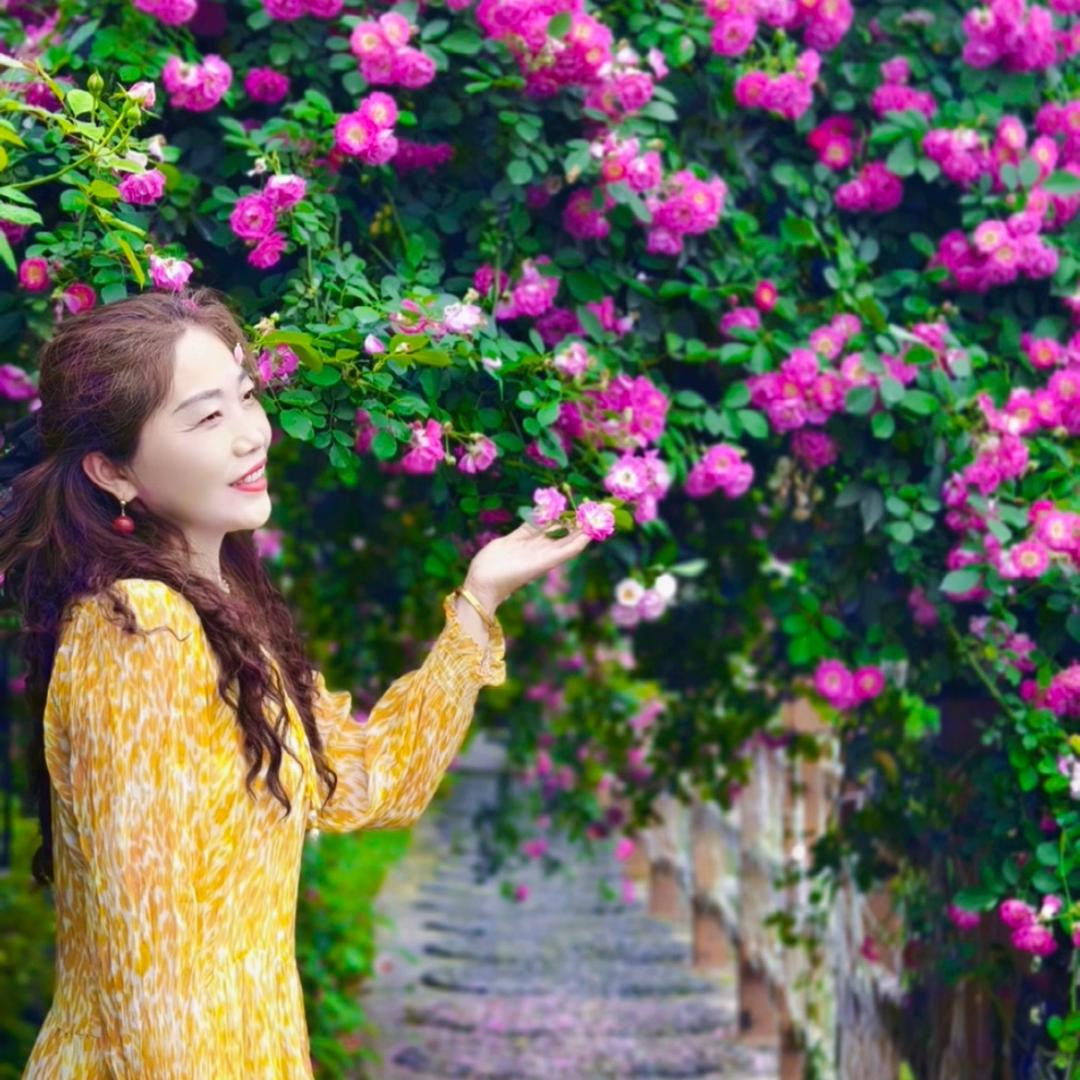 琴💫❣️💫