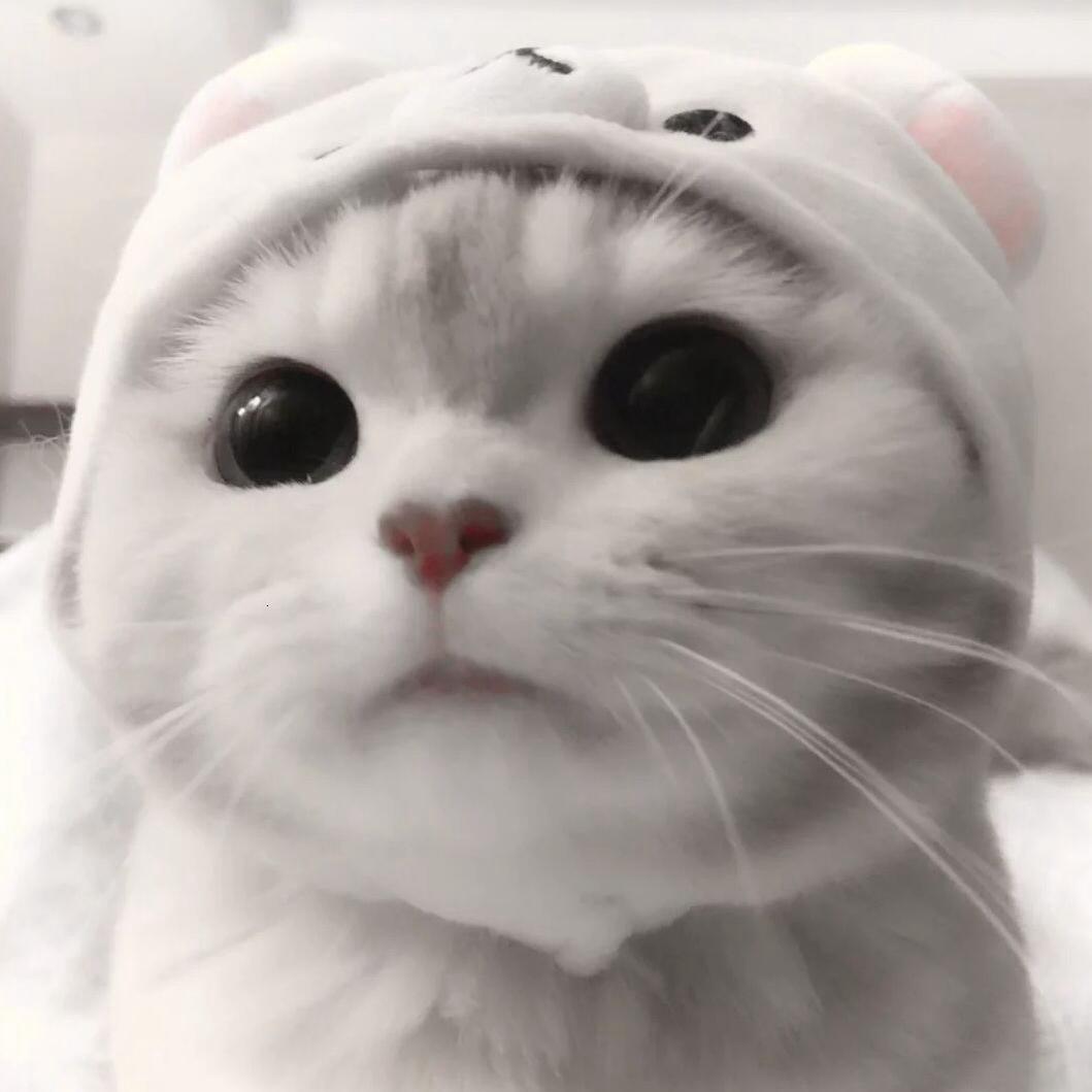 仄