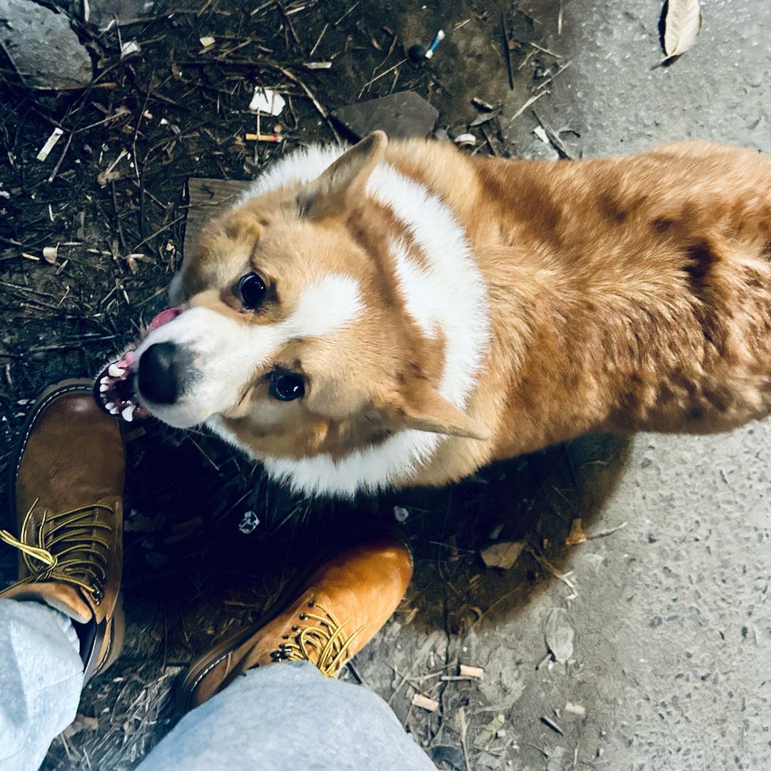 當年離家的年輕人