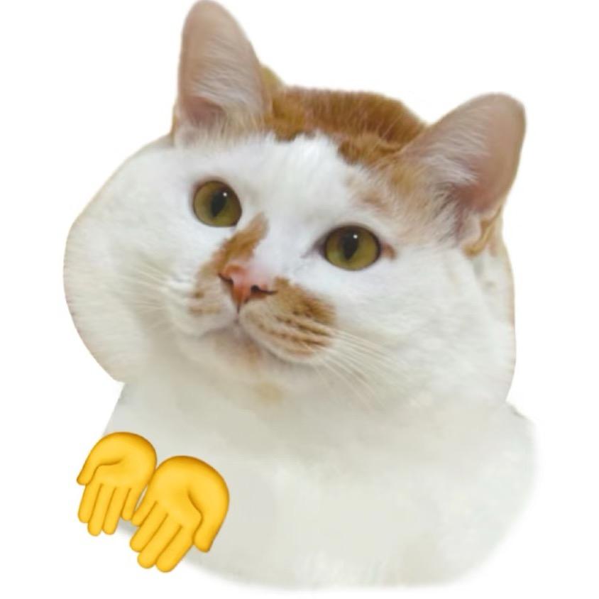 许愿光吃不胖😋