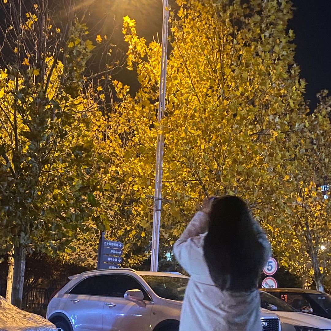 白泽！🚶🏼‍♂️