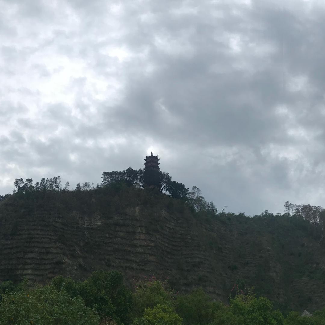 胖胖和慢慢