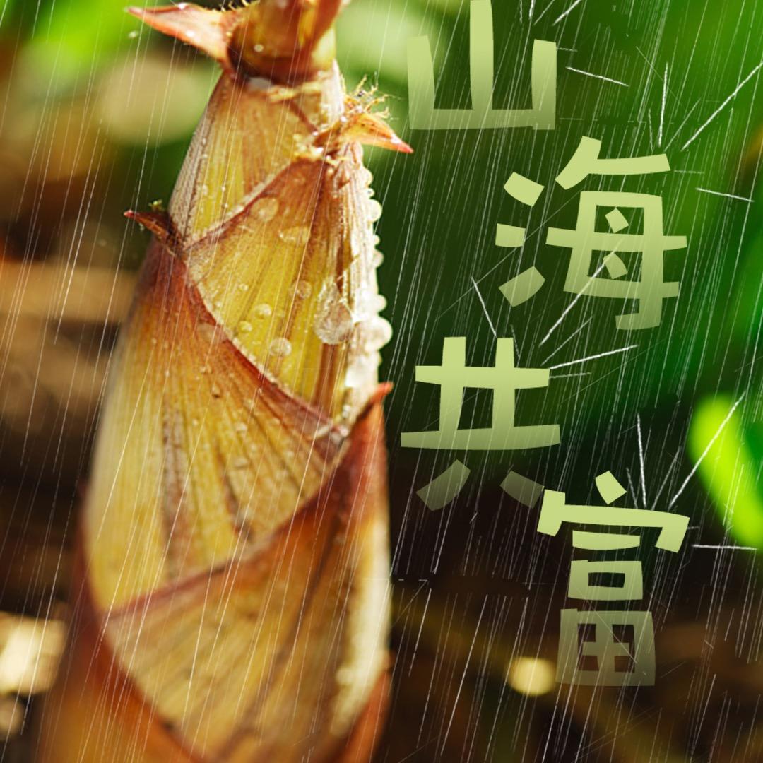 山海共富三农溯源
