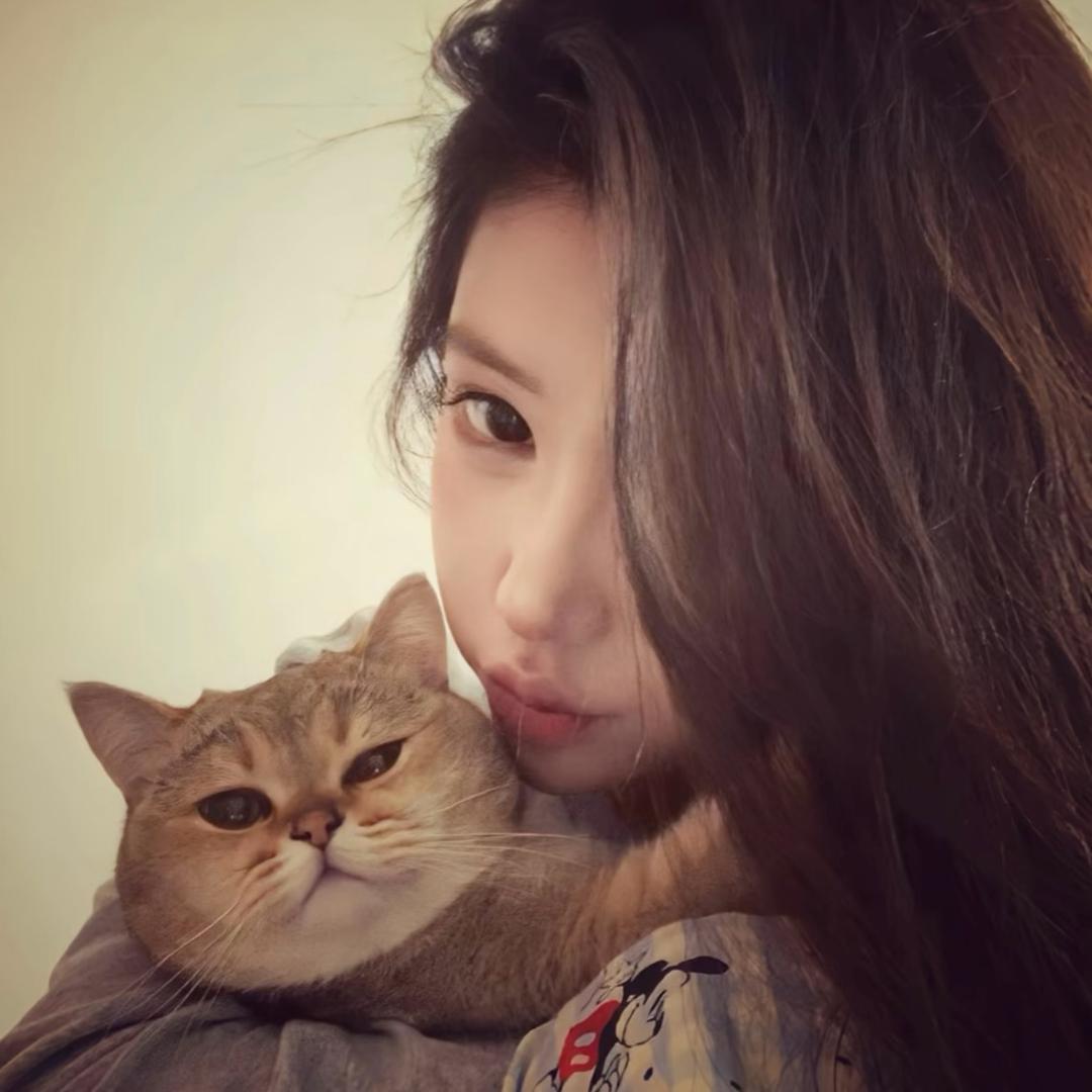 小红豆