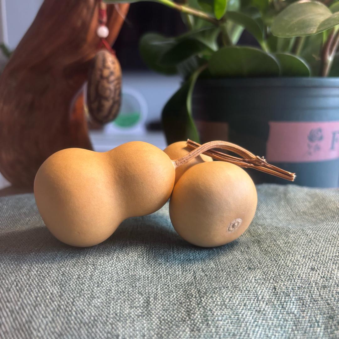 岳琛葫芦
