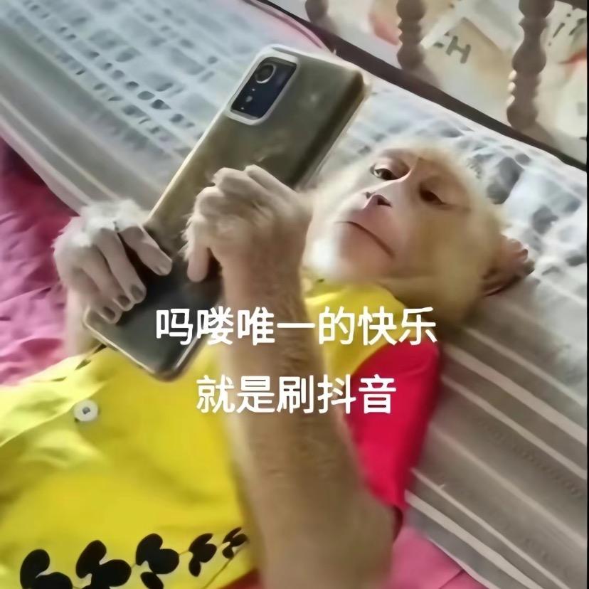 美女的线上衣帽间