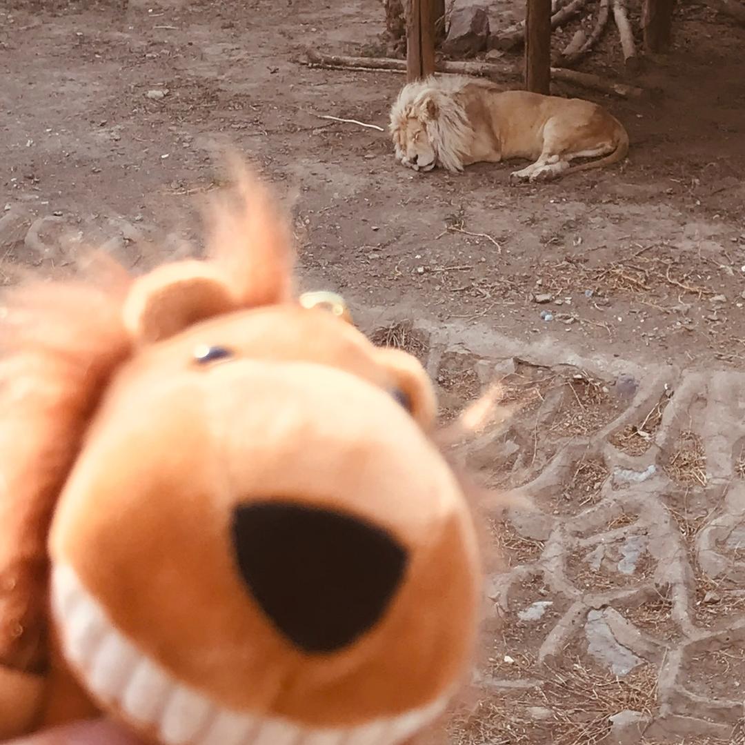 开普乐