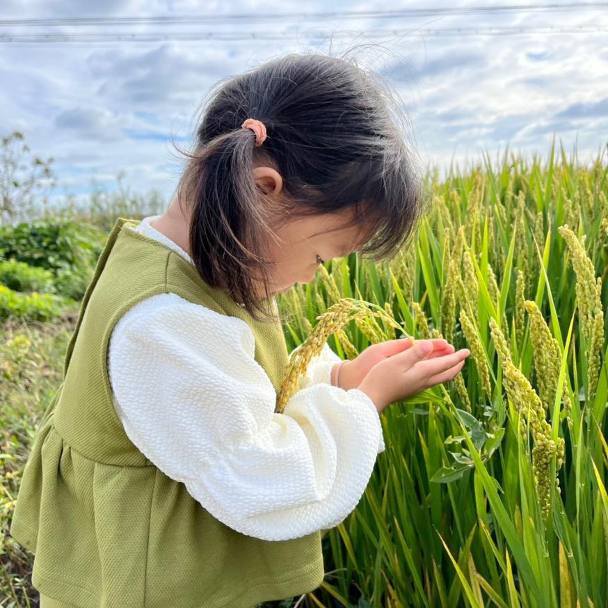 小花花的夏天