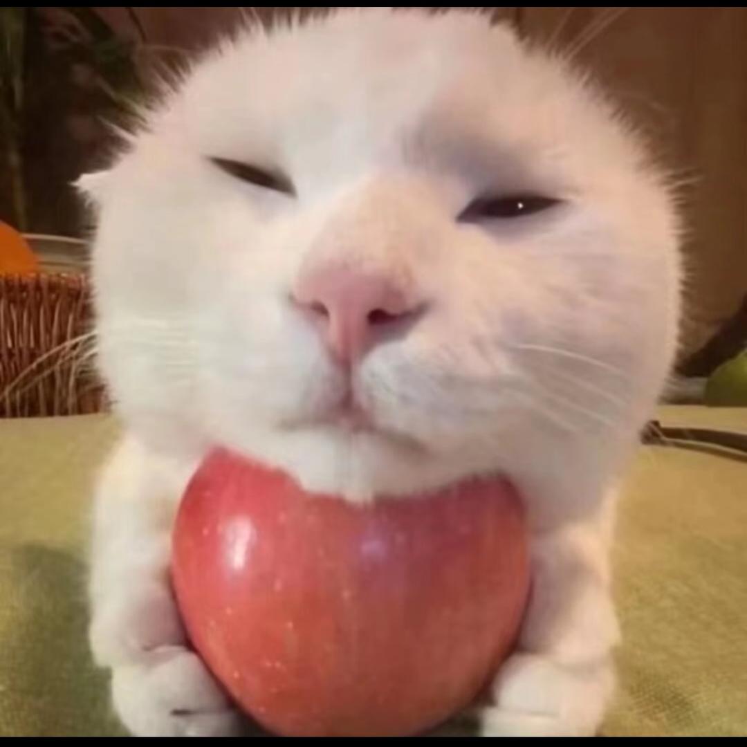 悲伤土豆丝