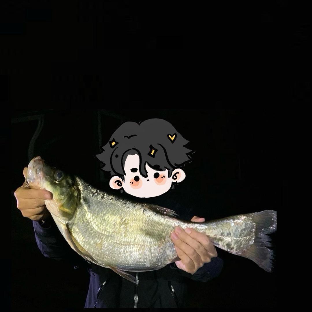 大江没有鱼🐟
