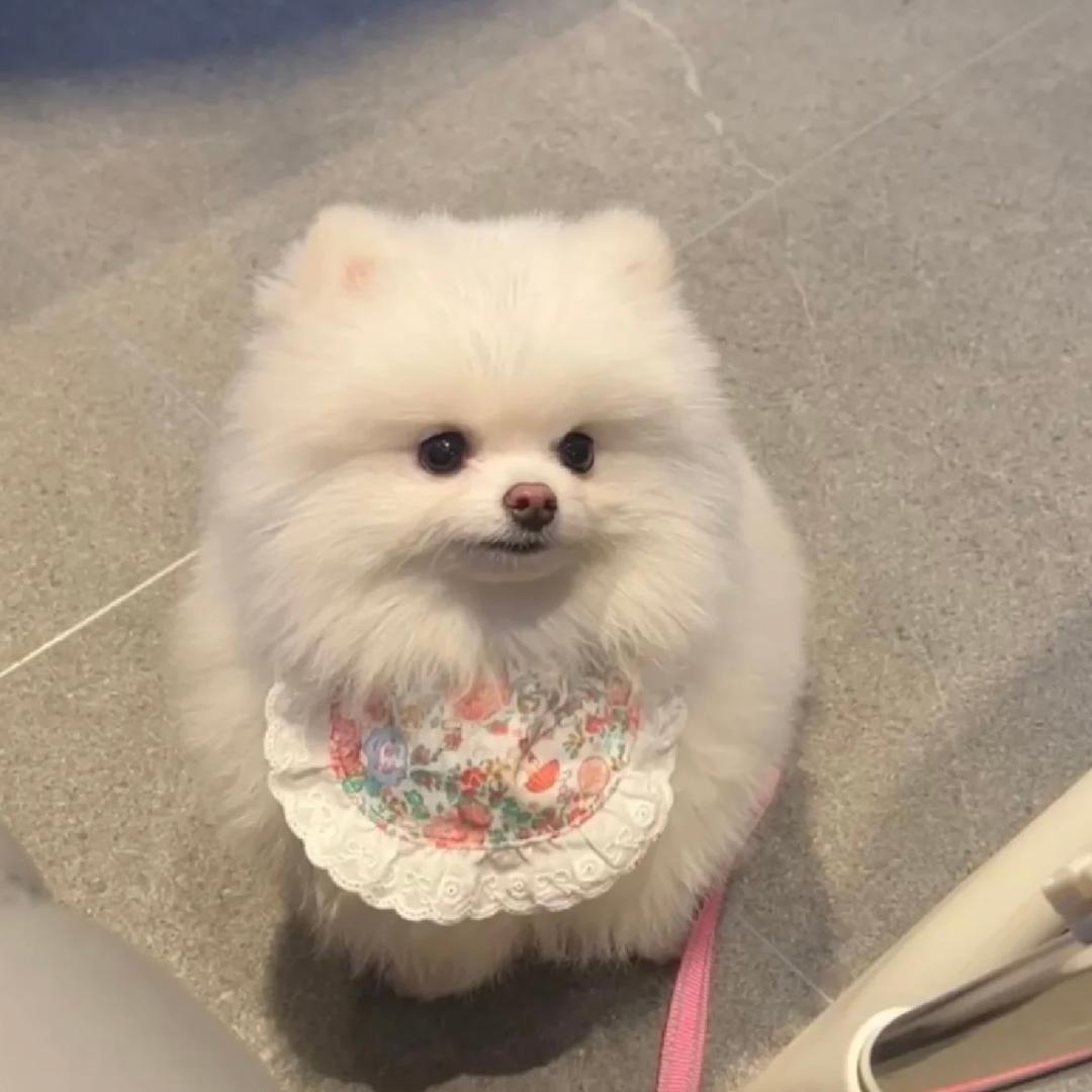 安安📝