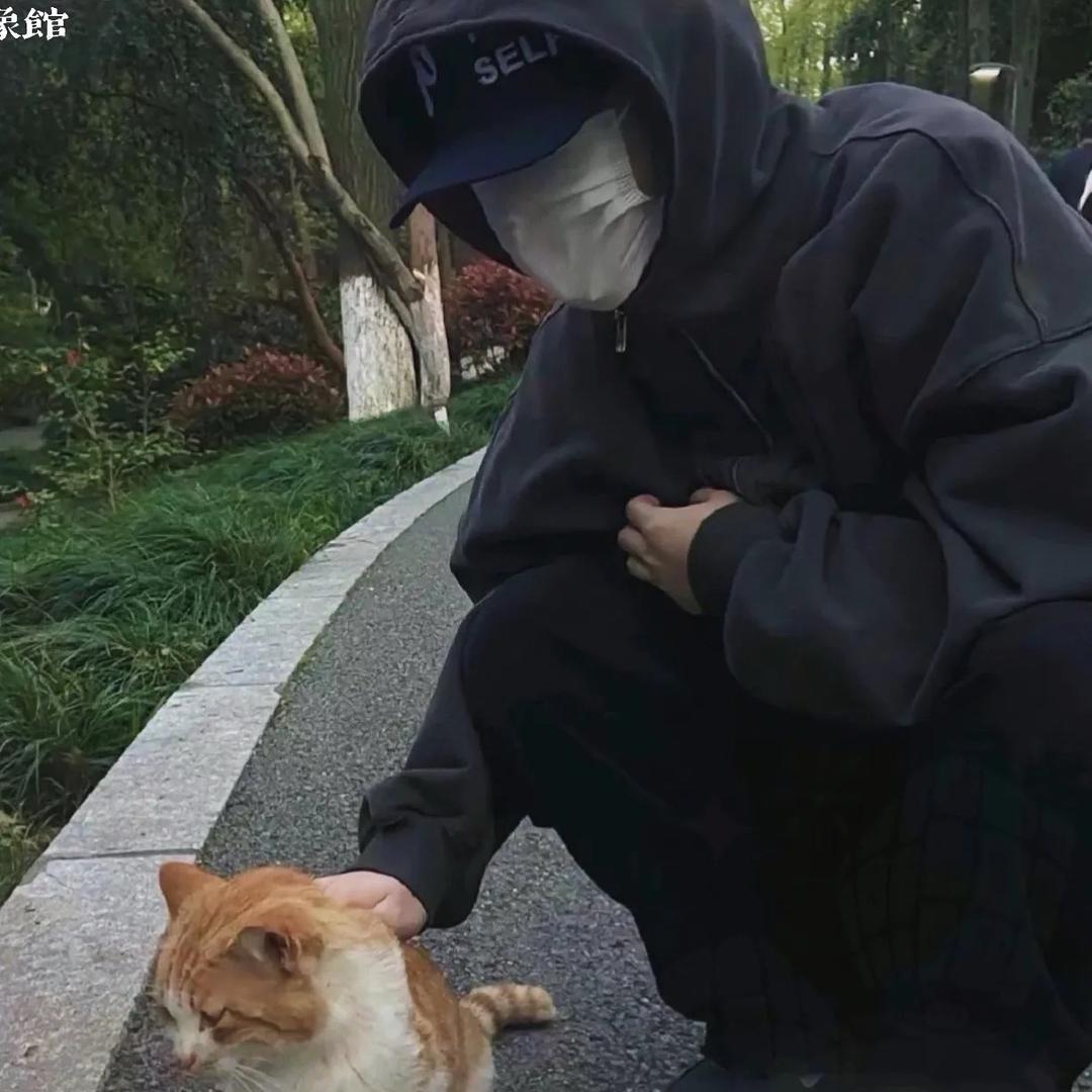 硬楠