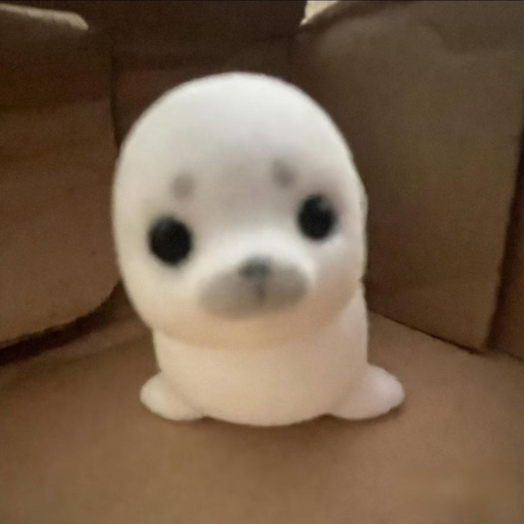 小怼