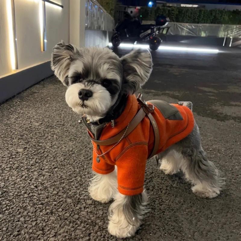 多多外贸宠物用品店