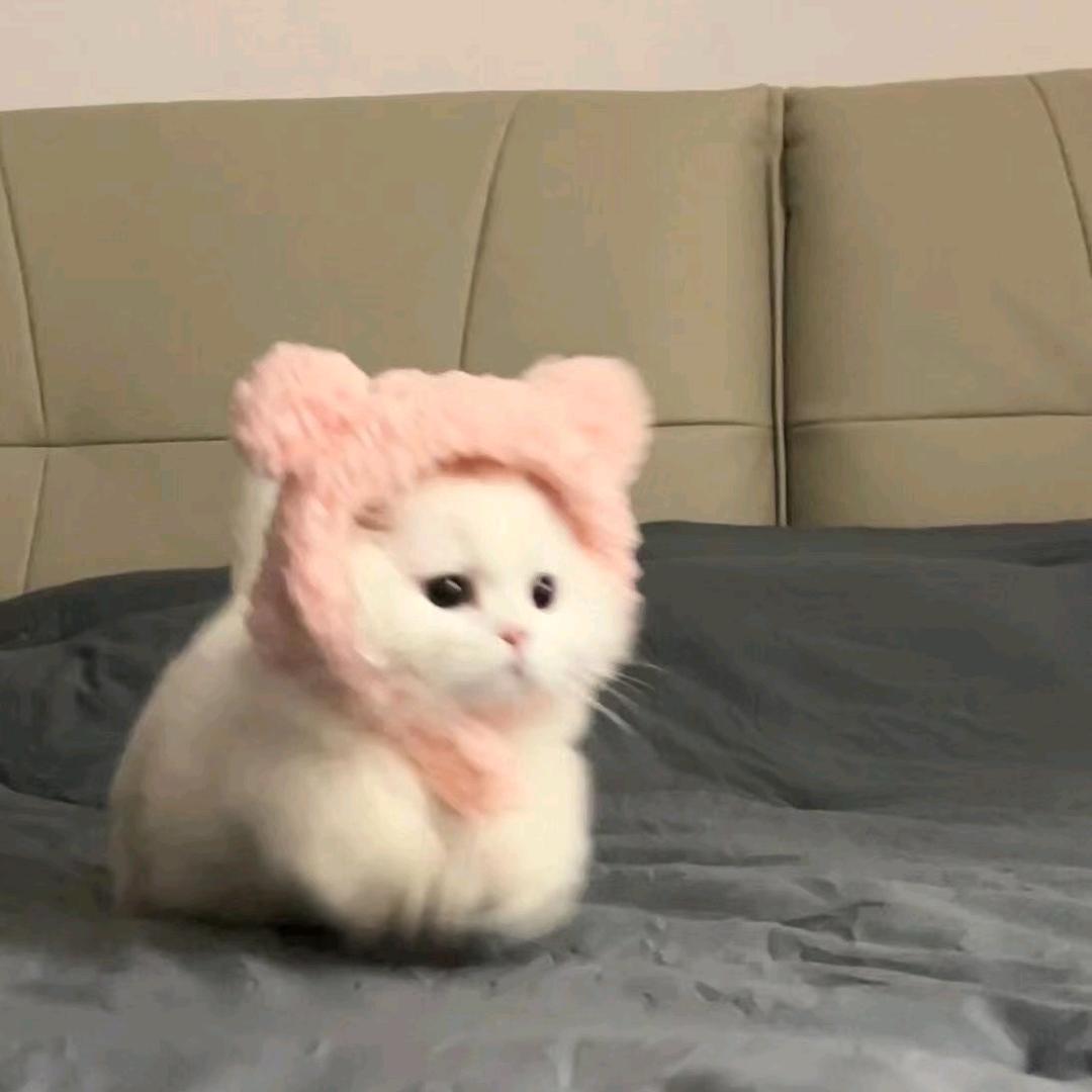 🍡🍡