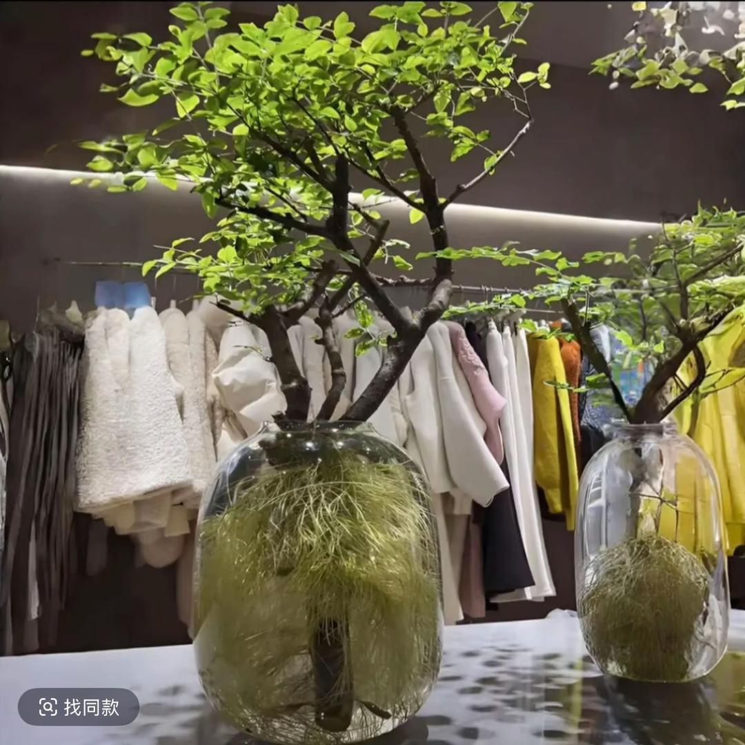状银花卉园艺场