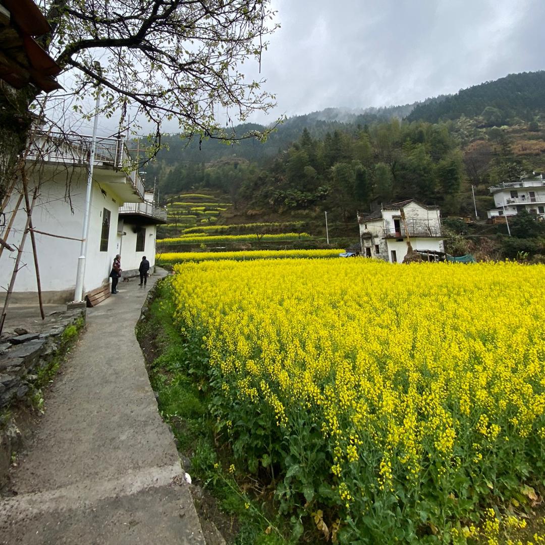 你说的都对