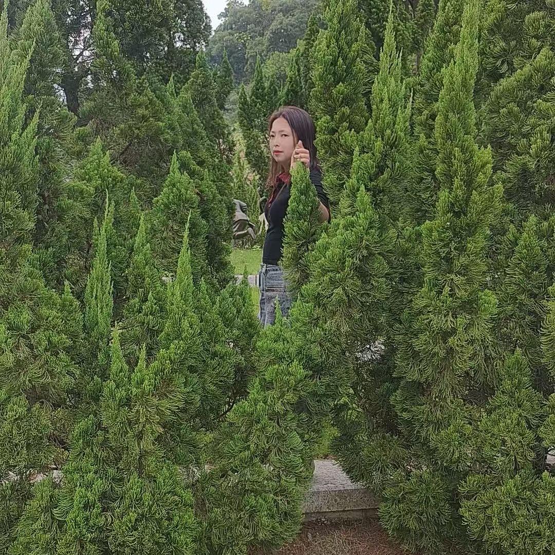 平平红中麻将馆