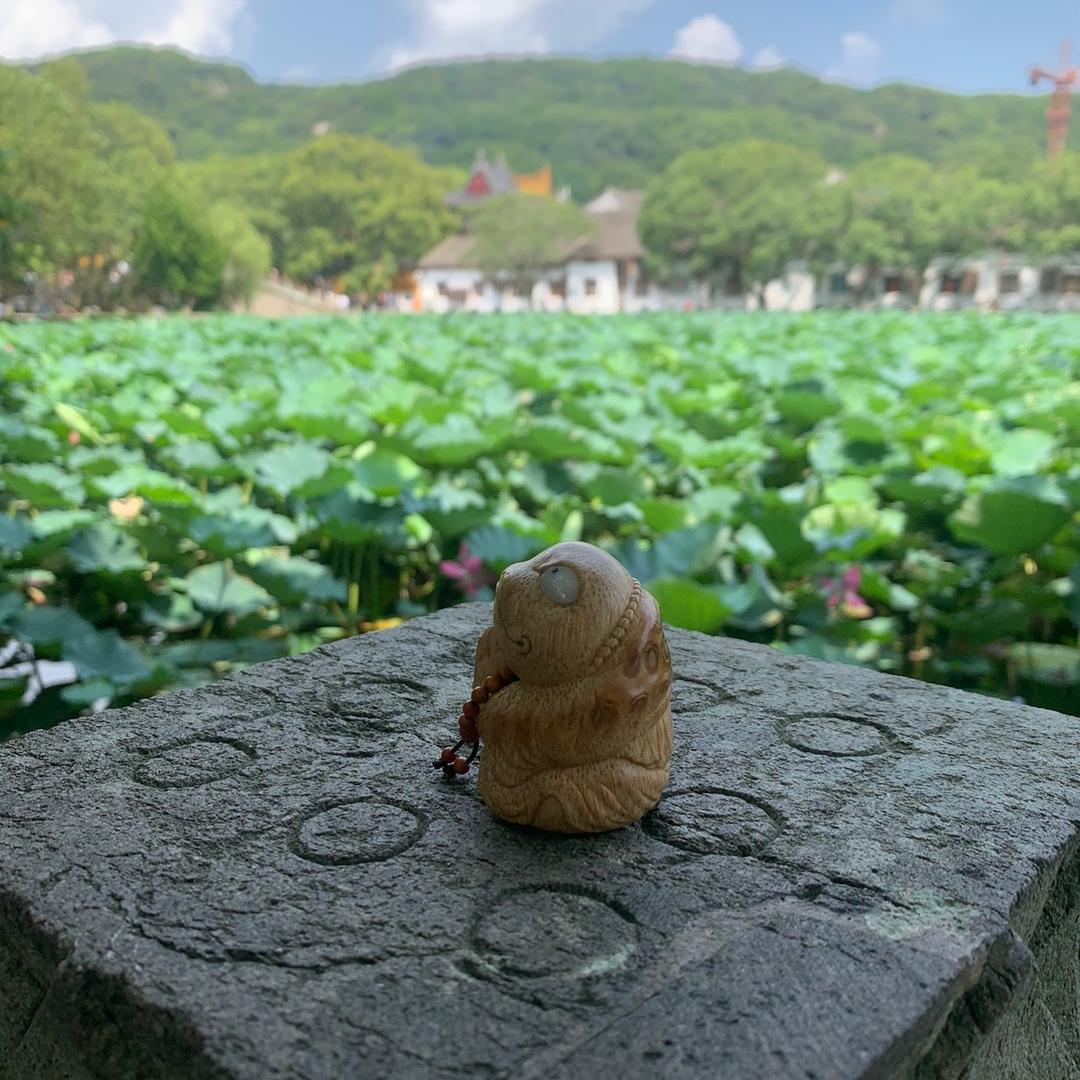 沙沙小天才🐼，