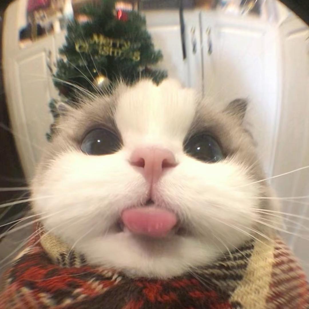小珊