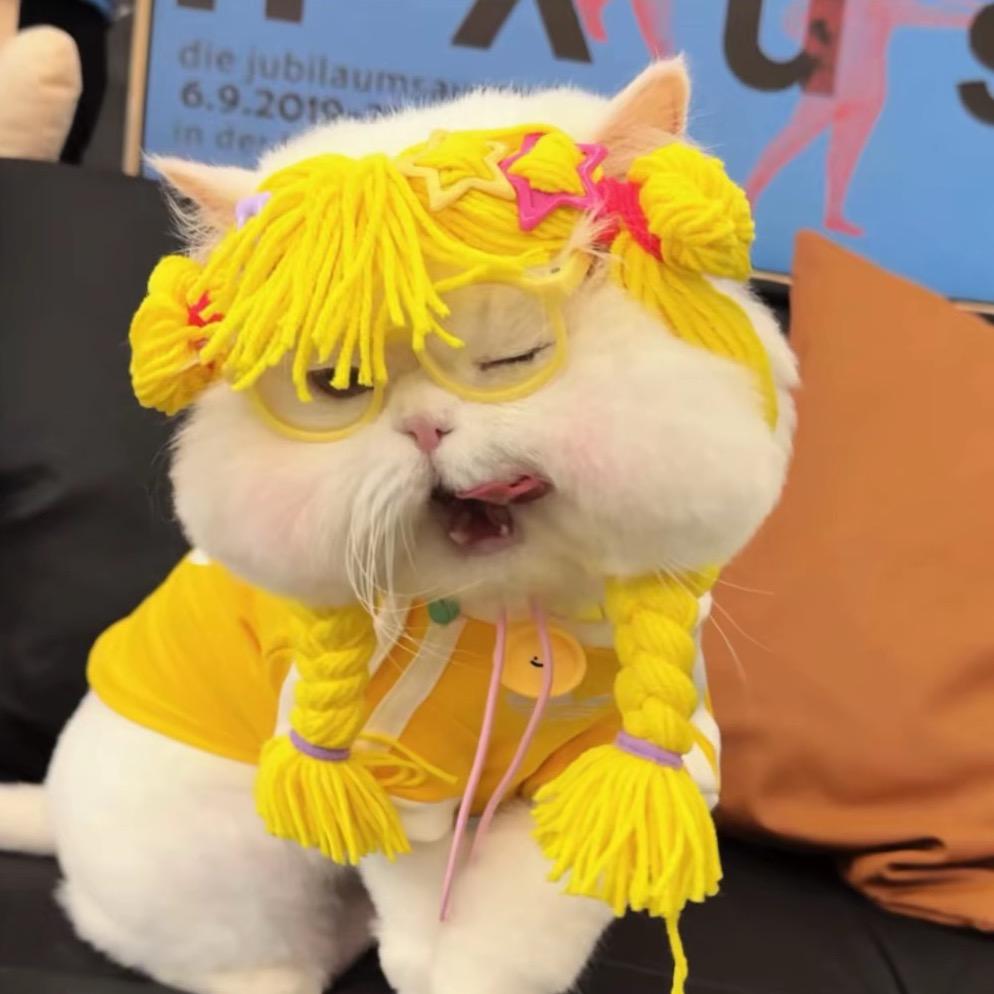 佩了佩了奇⭐️