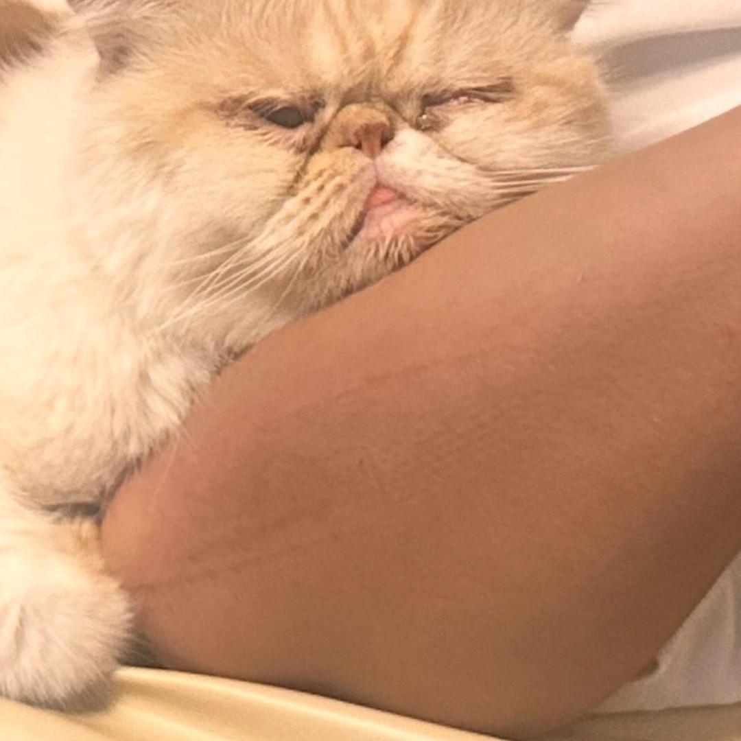 江苏龙龙喷绘