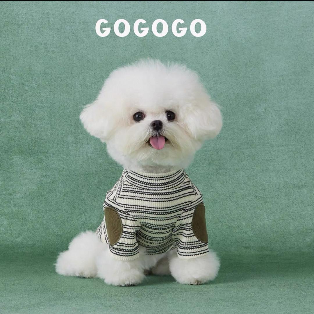 宠物衣服用品店