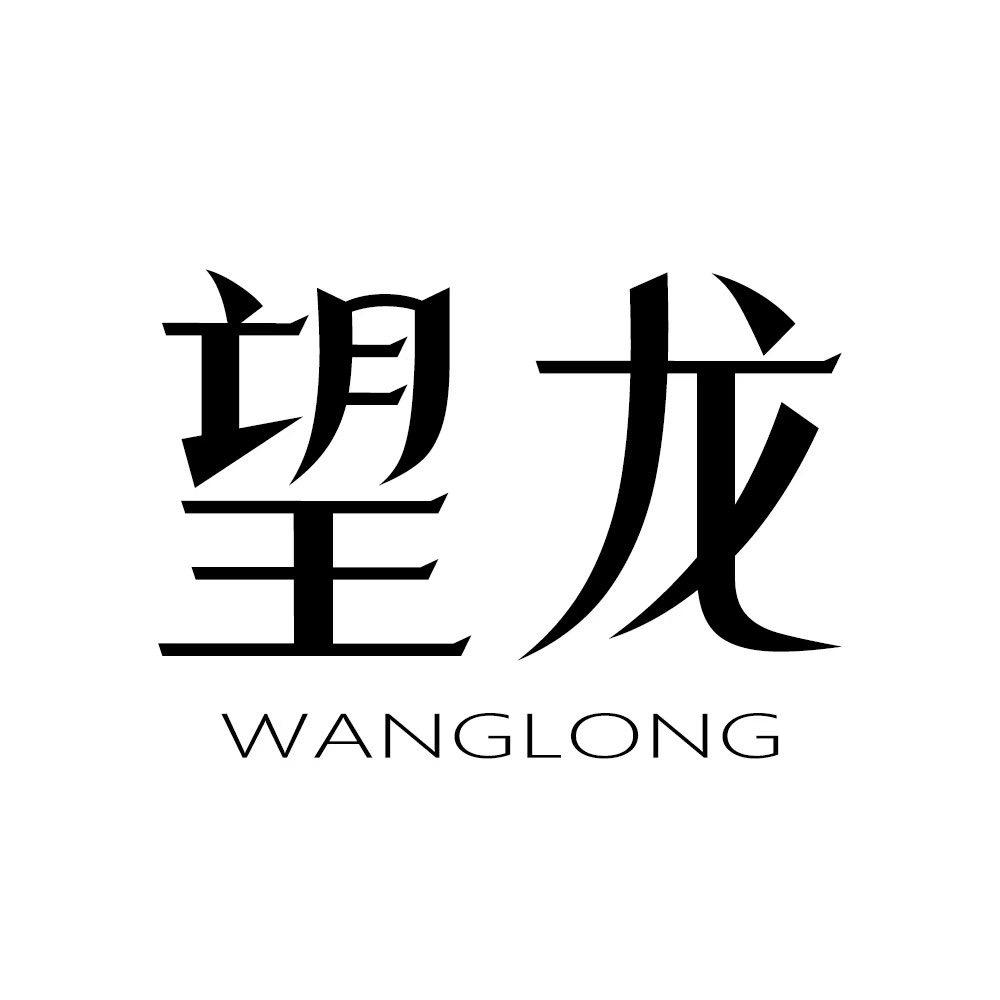 望龙鞋业