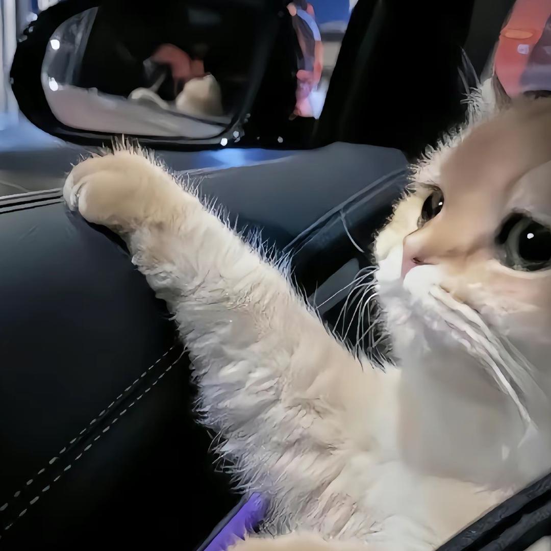 少主