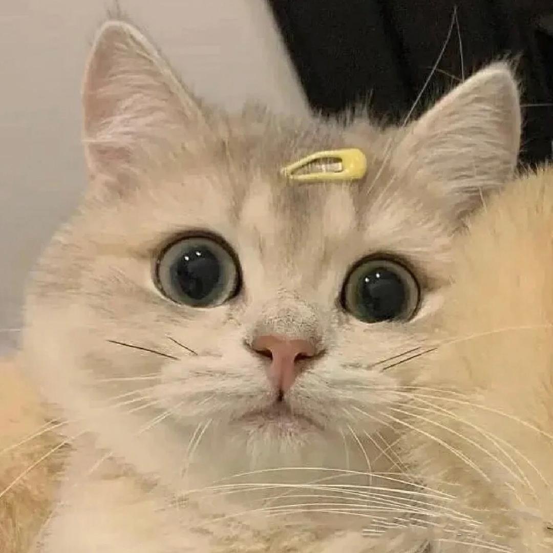 小苏老师