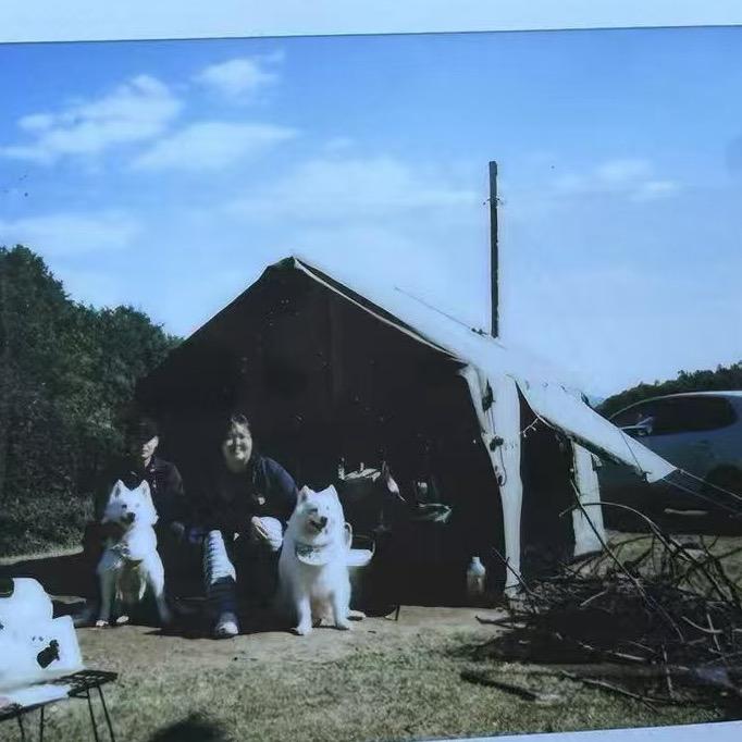 7的露营日记⛺️