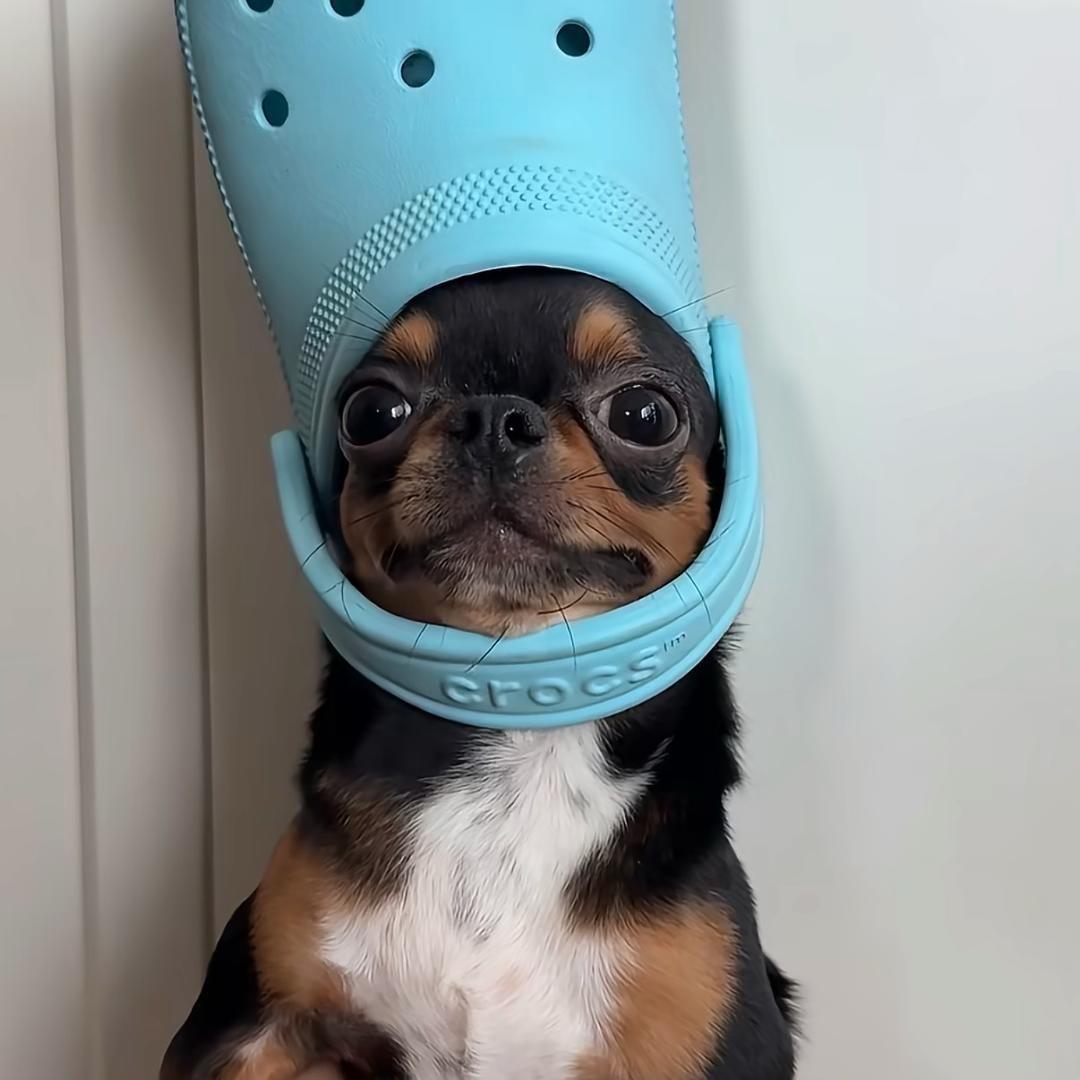 零七年
