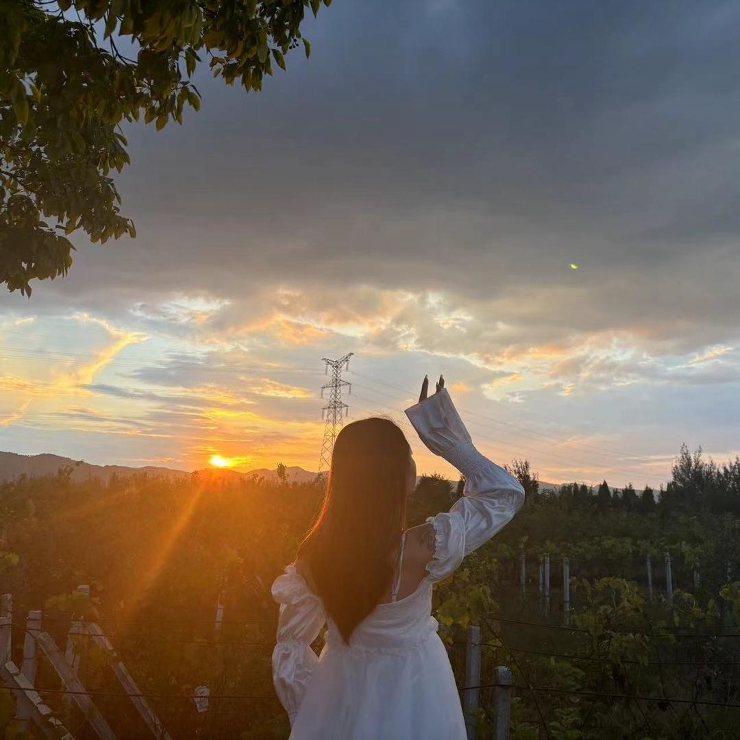 🥀⃟扶摇（3921）