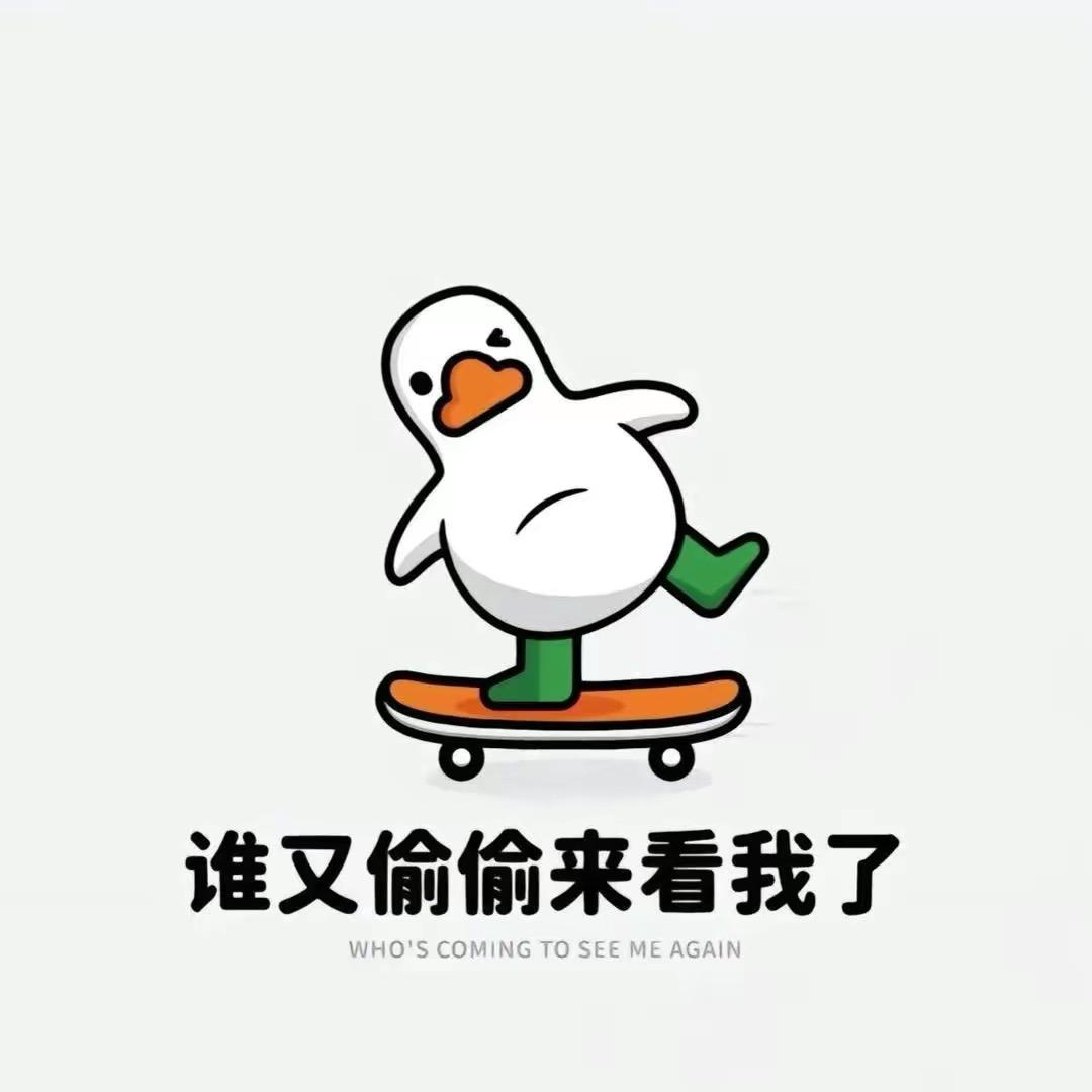 摄影师呆龙