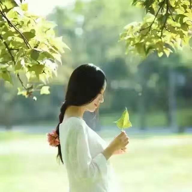 星语心愿的心