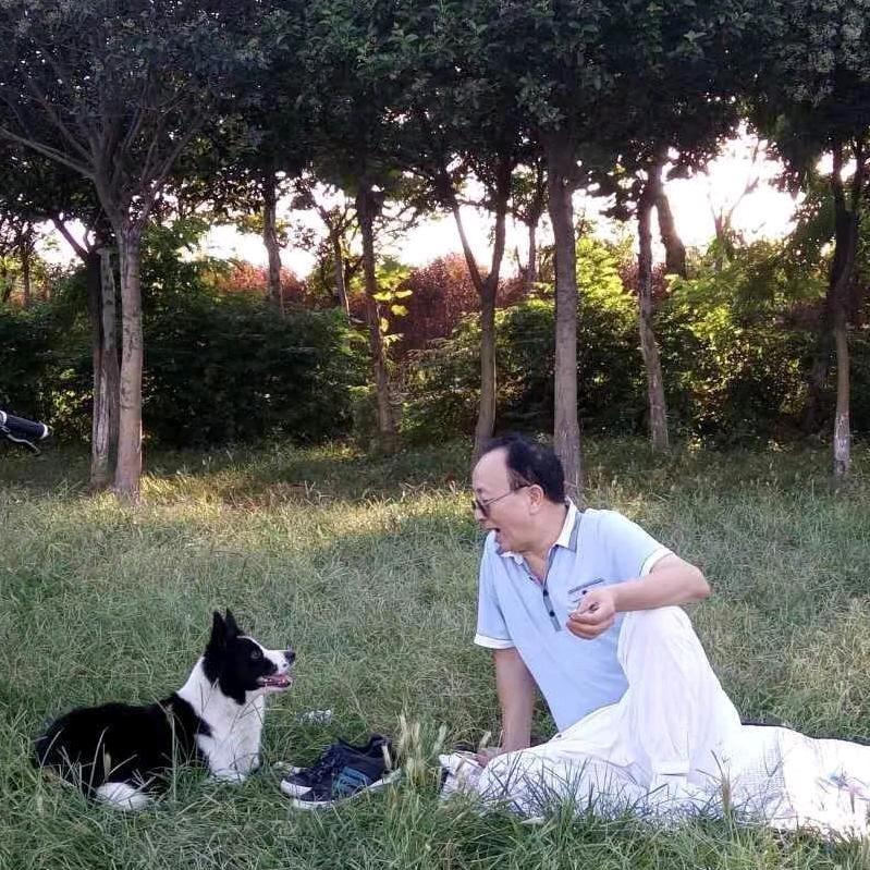 樵声