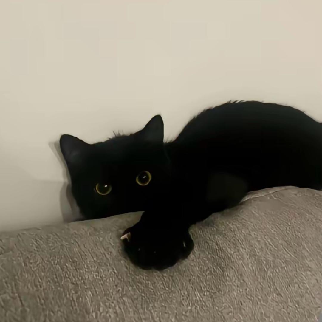 ︍︍︍︍︍ ︍︍︍ ㅤ