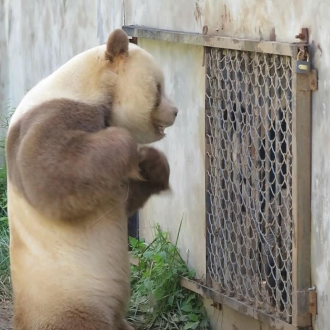 还是睡不醒yyliam