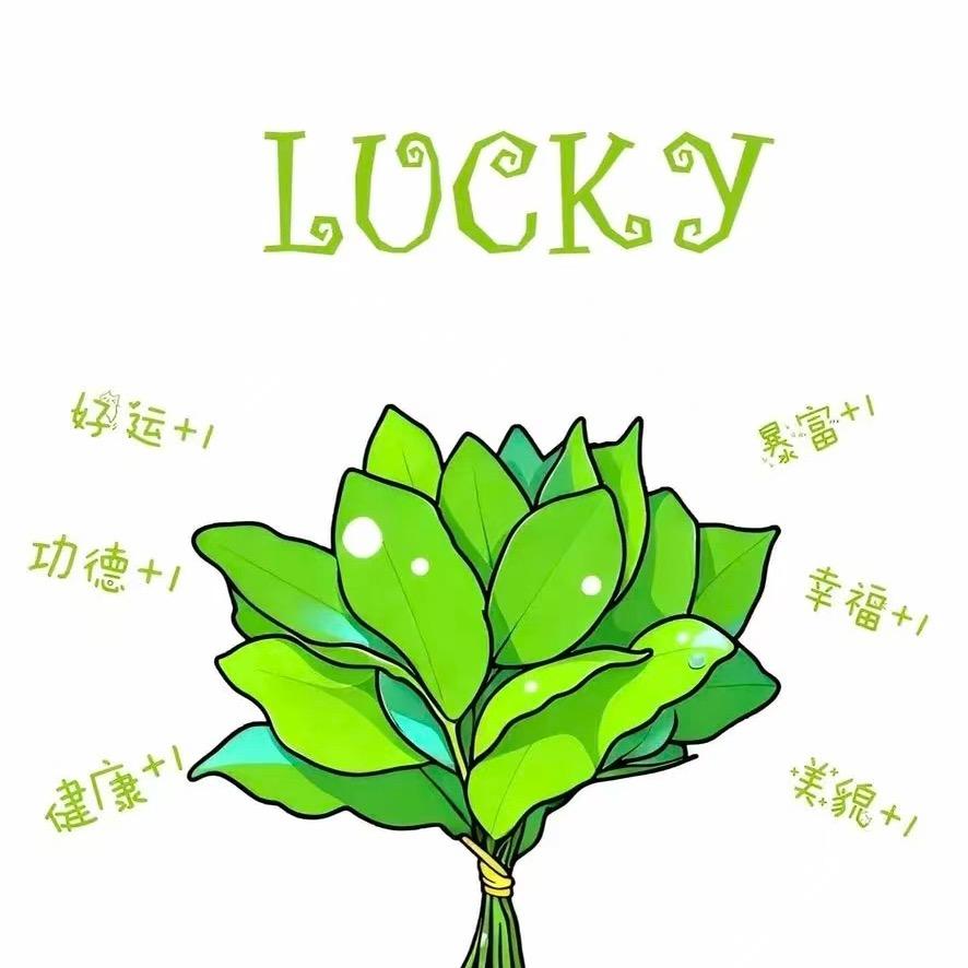 木槿