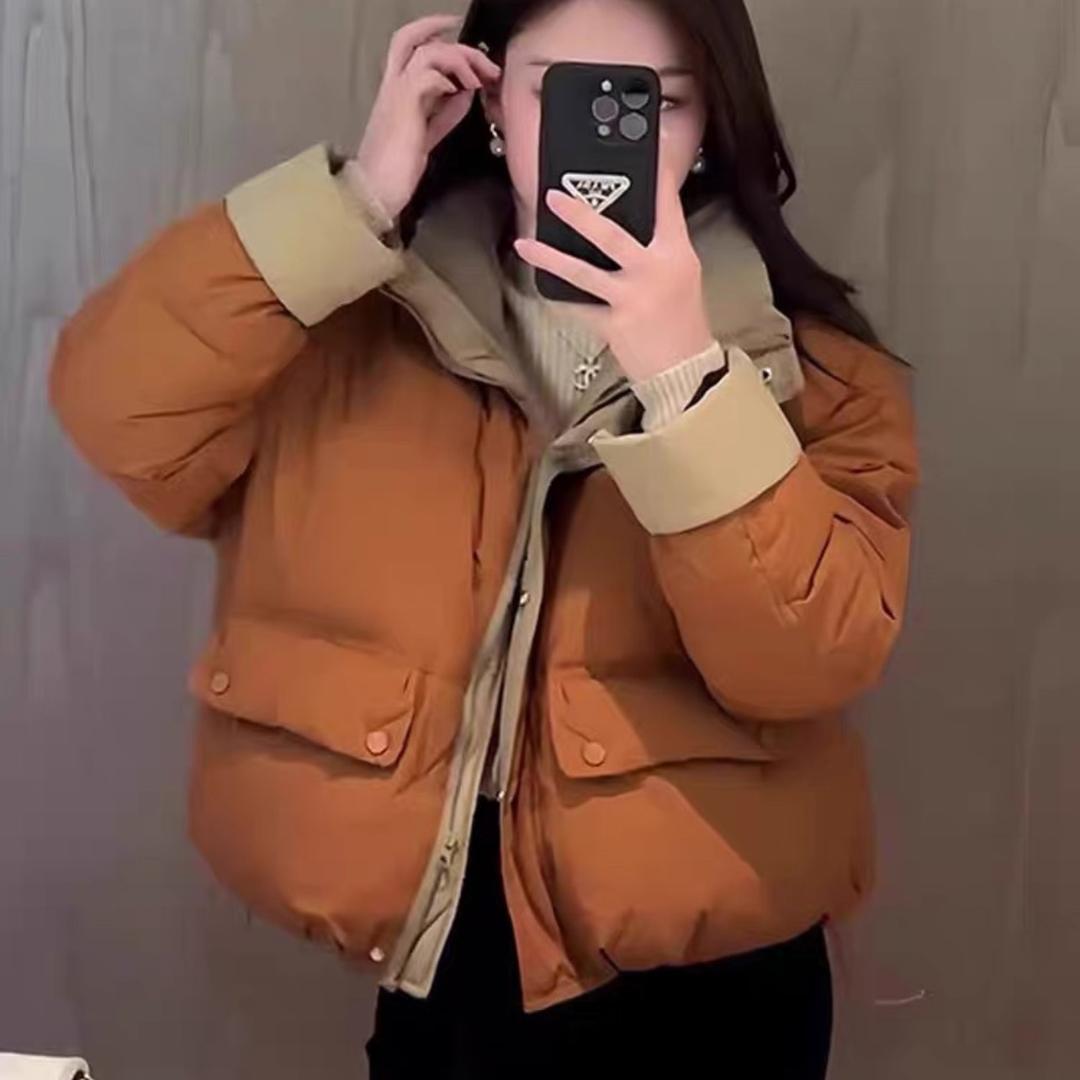 하지만 1582418