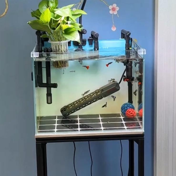 养鱼仙哥、好物号