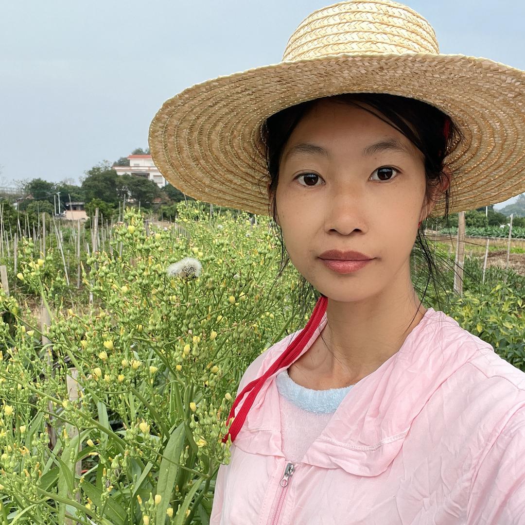 张海芳高州果蔬创意屋