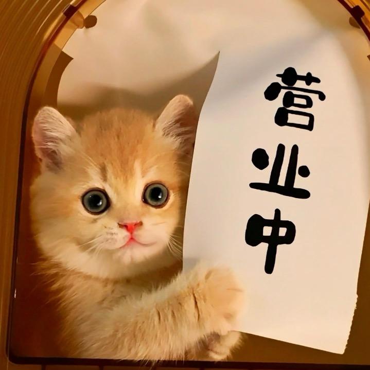 千次元携宠出行