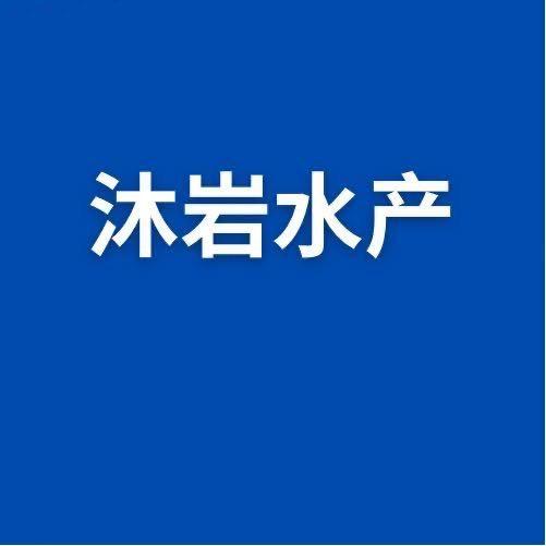 沐岩水产 叶强