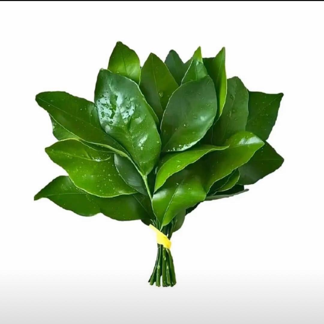 ww