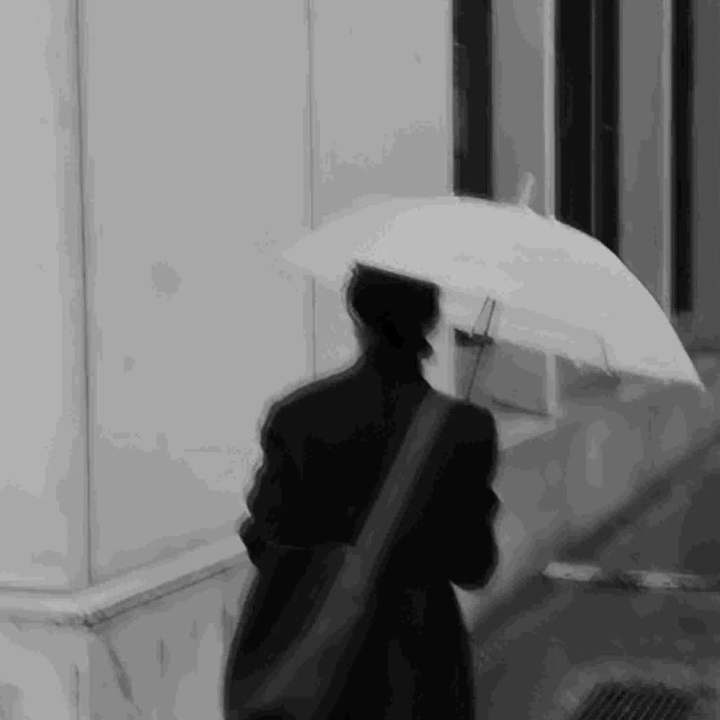 毛思圆