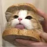 221127