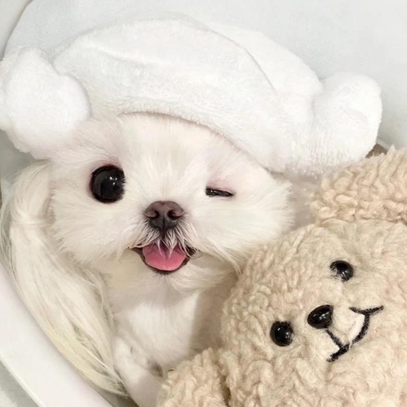 好玩好物分享~(¯▽¯~)